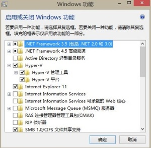 PowerShell获取Windows功能选项